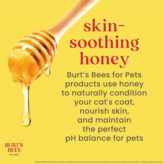 Burt's Bees for Pets Cat Dander Remover Wipes, Unscented Soft Grooming Cloths with Colloidal Oat Flour + Aloe, Helps Reduce Flaking Between Baths for Cats & Kittens, 50 Count - Pack