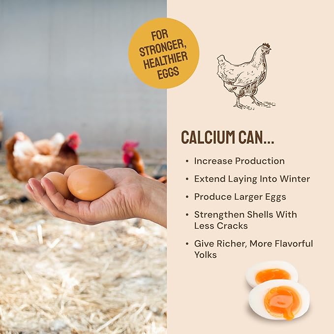Hatortempt Chicken Feed Supplement - Non-GMO - Protein-Rich Mealworms, Black Soldier Fly Larvae & Oyster Shell - Calcium Grit Treats for Chickens - Egg Layer Feed Supplement (10 lb)