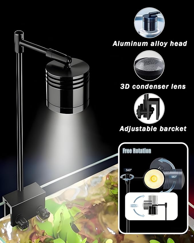 Fish Tank, 3 Gallon Ultra-Clear Glass Fish Aquarium, with Separator Plate for Betta, Fish Tank Starter kit with Filter and Led Light, Black