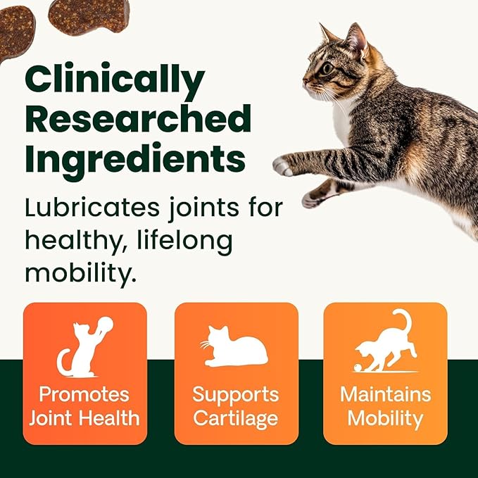 VetriScience Ultimate Strength Healthy Hip & Joint Chews, GlycoFlex Glucosamine, Chondroitin and Green-Lipped Mussel Joint Supplement for Cats, Soothe Joint Discomfort, Fish, 30 Count