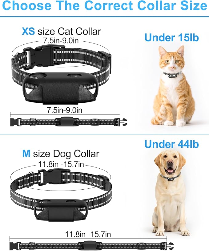 Dog & Cat Camera Collar with Phone APP, 1080P HD Video Recording, XS/M-Size Pet POV Cam for Dogs & Big Cats, Cordless Pet Collar Cameras with APP Viewing (M-Collar)