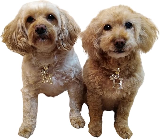 Initial Letter Cuban Chain Dog Chain Pet Chain Pet, Cat, Puppy Necklace (K, 22")