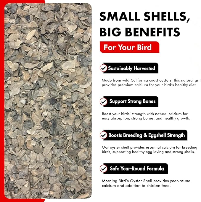 Morning Bird Oyster Shell for Birds 18 lbs (2-Pack, 9 lbs Each) – Natural Calcium Supplement – Sustainably Harvested from California Coast – Easy to Mix – Safe Year-Round Bird Food Additive