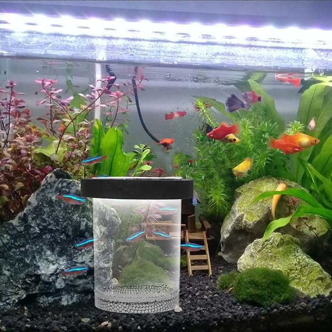 Floating Fish Breeding Box for Aquarium Tank - Plastic Hatching Box with Mesh Net for Baby, 5.9 X 3.9 X 3.9 in