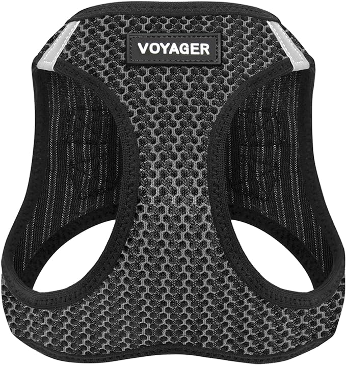 Best Pet Supplies Voyager Step-in Air Harness - All Weather Mesh, Reflective, No Pull Harness for Dogs, Cats - Secure with Hook & Loop Fastener, Buckle, Double D-Rings - Gray 2-Tone, M