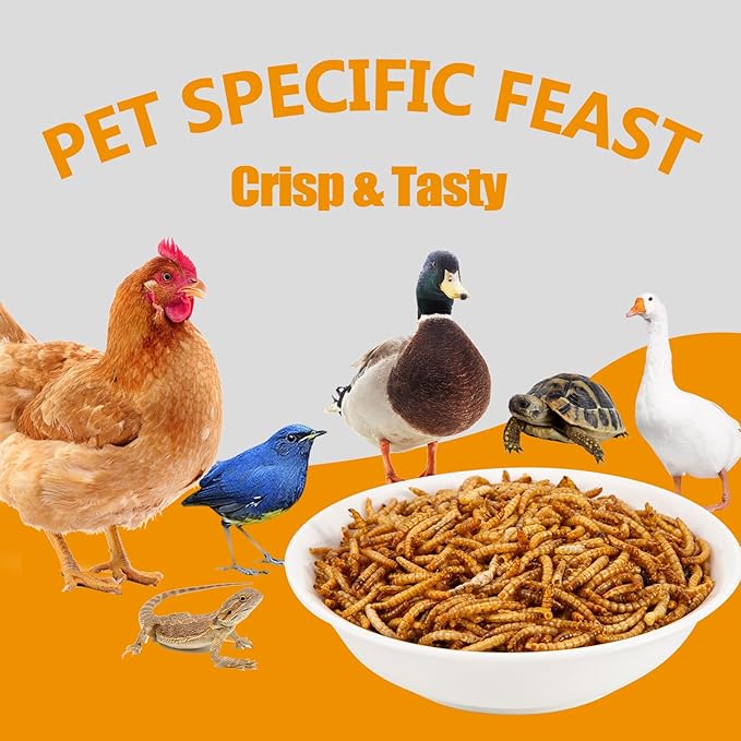 10LB Dried Mealworms, Non-GMO Meal Worms for Chickens & Birds, High Protein Chicken Feed, Natural Chicken Worms Ideal for Wild Birds, Reptile Tasty Bird Food
