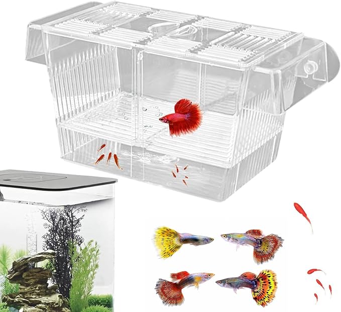 1/2 Fish Breeding Box - Aquarium Breeder Box, Fish Acclimation Box with 2 Suction Cups | Easily Install Fish Isolation Box, Acrylic Aquarium Hatchery Incubator for Baby Fishes Shrimp Betta Guppy
