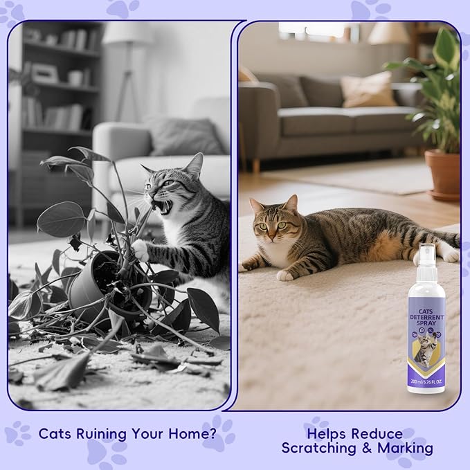 Cat Repellent Spray - Natural Indoor & Outdoor Training Aid to Stop Scratching & Unwanted Marking