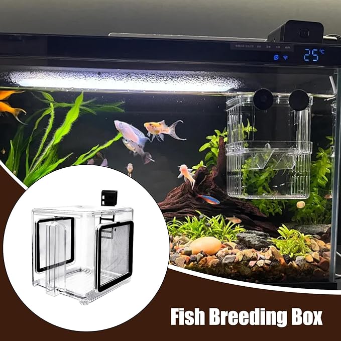 Use Breeder Box - Acrylic Fish Breeding Container, Durable Breeder Divider Incubator, Transparent Hatchery Accessory | Shrimp Guppy Seawater Isolation Tank for Home Aquarium Propagation Hatc