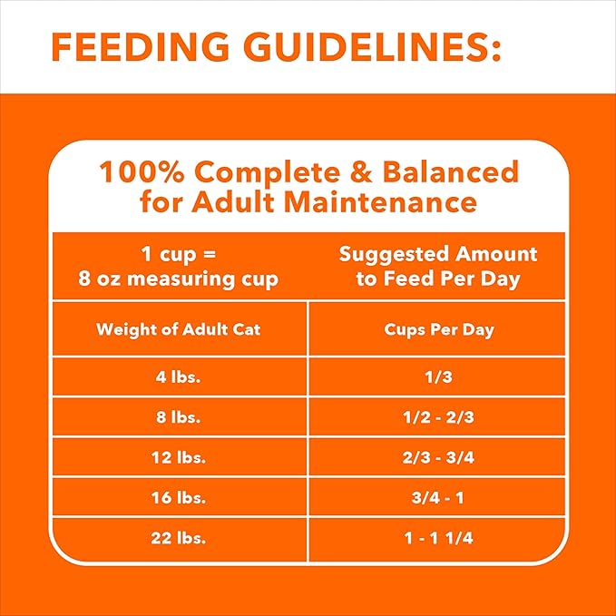 IAMS Healthy Enjoyment Dry Cat Food Chicken & Beef Recipe, Cat Food Dry Recipe, 6 lb. Bag