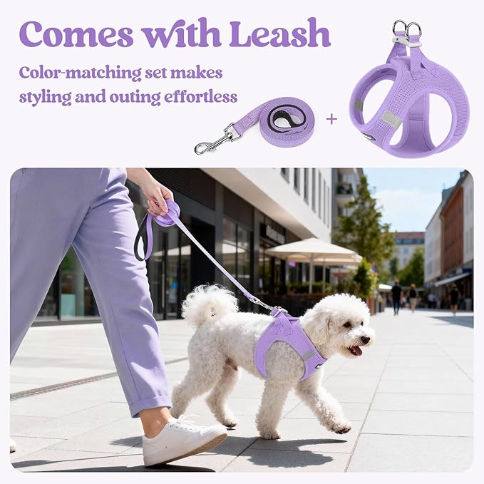 rabbitgoo Dog Harness Small Sized and Leash Set, Step in Soft Light Puppy Vest, Breathable Mesh Pet Harness, Reflective for Safe Easy Walking, Light Purple XXS
