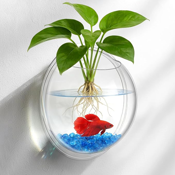 iplusmile Wall Mounted Planter 6.7 Inch, Clear Acrylic Hanging Bubble Vase for Plant Propagation Air Plants, Shatterproof Round Terrarium Bowl for Home Office Decor