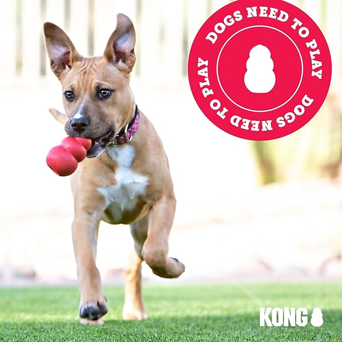 KONG Flyer - Durable Dog Toy for Outdoor Playtime - Natural Rubber Flying Disc, Dog Toy for Fetch - Safer Disc for Healthy Activity - for Small Dogs (Pack of 2)