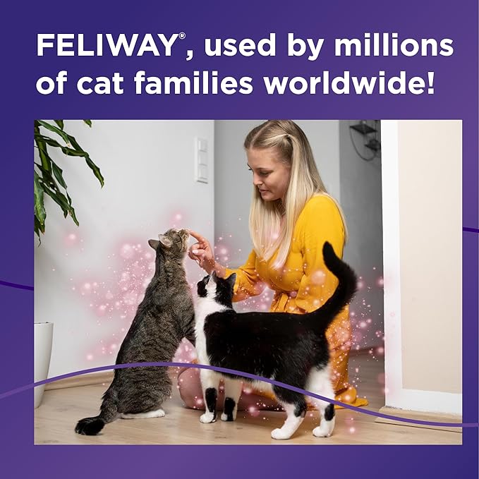 FELIWAY® MultiCat 30 Day Cat Calming Refill for Pheromone Diffuser, 48ml - 1x 30 Day - Helps Reduce Conflicts and Signs of Tension in Multi-Cat Households