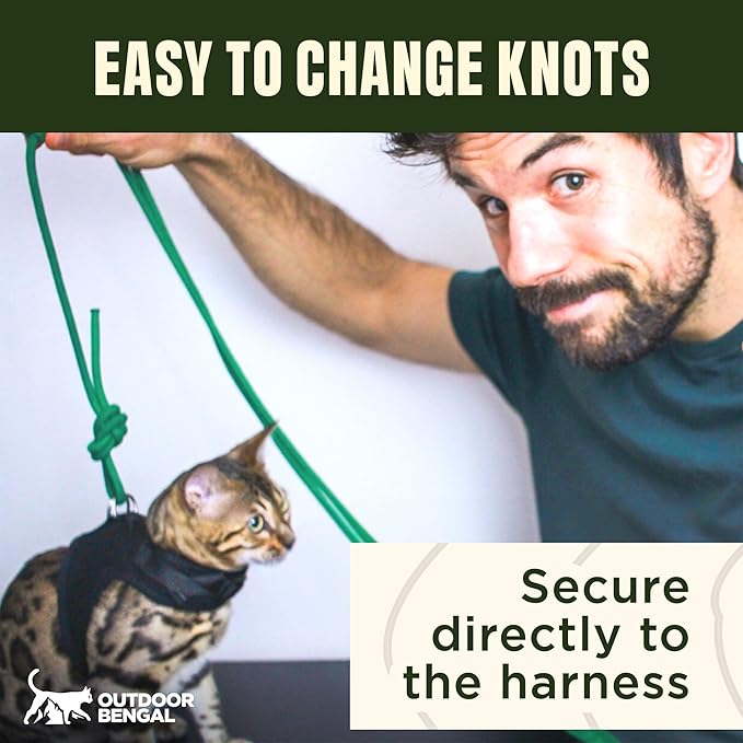 Long Rope Leash for Cats, Small Dogs & Puppies – Heavy Duty, Tangle-Free Lead for Walking, Training & Outdoor Play – Durable Nylon Pet Leash (Green 14FT)
