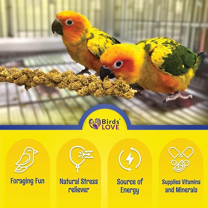 Birds LOVE Economy & Special Spray Millet GMO-Free (No Stems Only Edible Tops) for Birds Cockatiel Lovebird Parakeet Finch Canary All Parrots Healthy Treat - 7oz (Pack of 50)