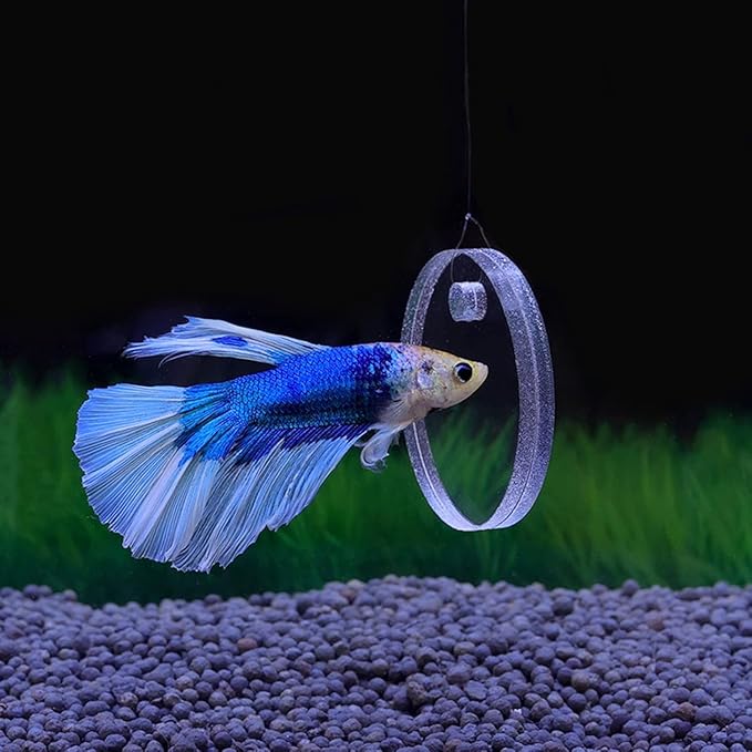 Betta Training Mirror Fish for Tank Fish Antidepressant Work Out Special for Betta Fitness Mirror Betta Toys Mirror Aquarium Decor (5cm) (6cm)