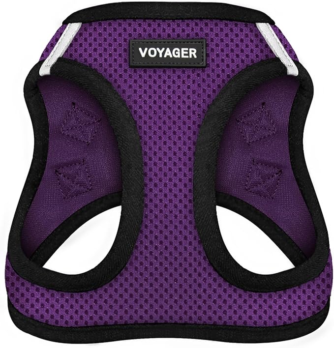 Best Pet Supplies Voyager Step-in Air Harness - All Weather Mesh, Reflective, No Pull Harness for Dogs, Cats - Secure with Hook & Loop Fastener, Buckle, Double D-Rings - Purple/Black Trim, XXXS