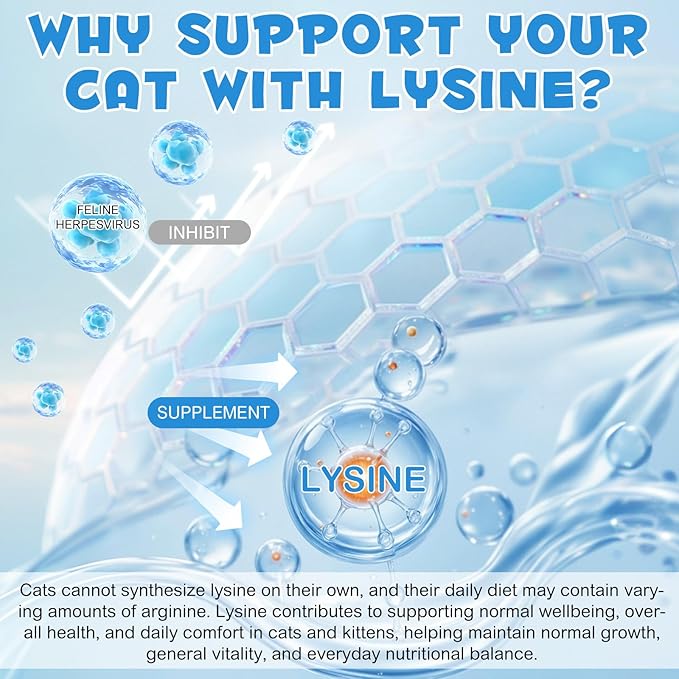 ALIVO L-Lysine for Cats, Immune Support Drops for Cats Feline Respiratory Health, Sneezing & Runny Nose - Pet Liquid Supplement for Eye Function & Cat Cold Relief - Chicken Flavor, 2 fl oz / 60 ml