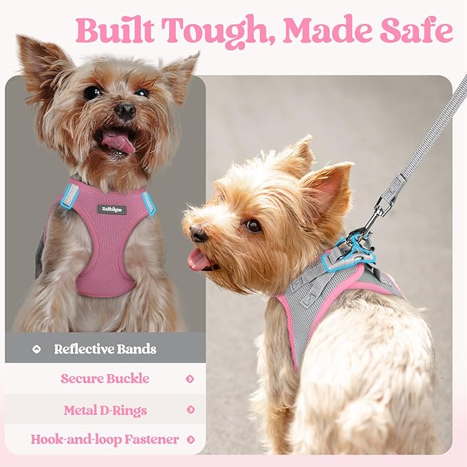 rabbitgoo Dog Harness Small Sized and Leash Set, Step in Soft Light Puppy Vest, Breathable Mesh Pet Harness, Reflective for Safe Easy Walking, Pink & Gray M