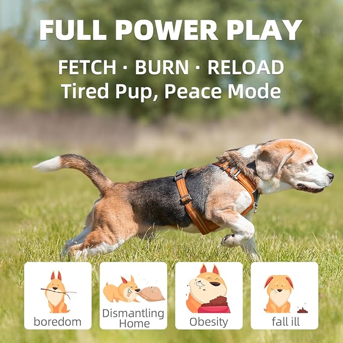 Automatic Dog Ball Launcher-Small Silent Dog Ball Thrower, 3 Adjustable Distances (20ft/33ft/46ft), Rechargable,Includes 3 Durable 2.3" Balls for Small/Medium Dogs (Orange, Medium)