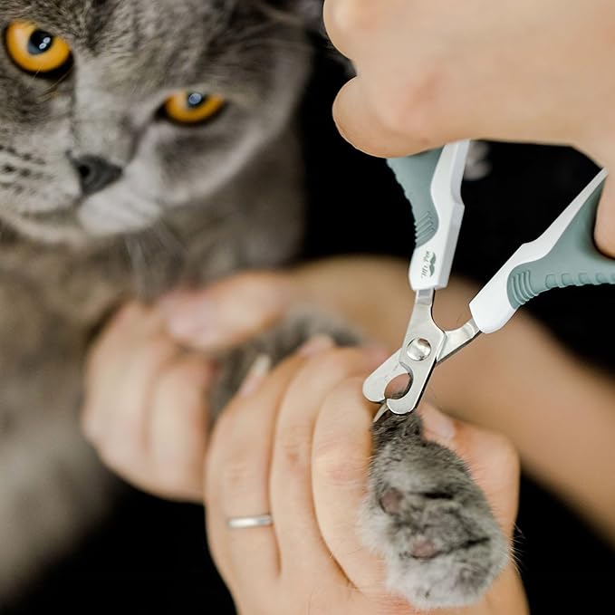 Mr. Pen Cat Nail Trimmer - Cat Nail Clippers - Olive - Stainless Steel Blades - Safe & Easy Nail Trimming for Cats of