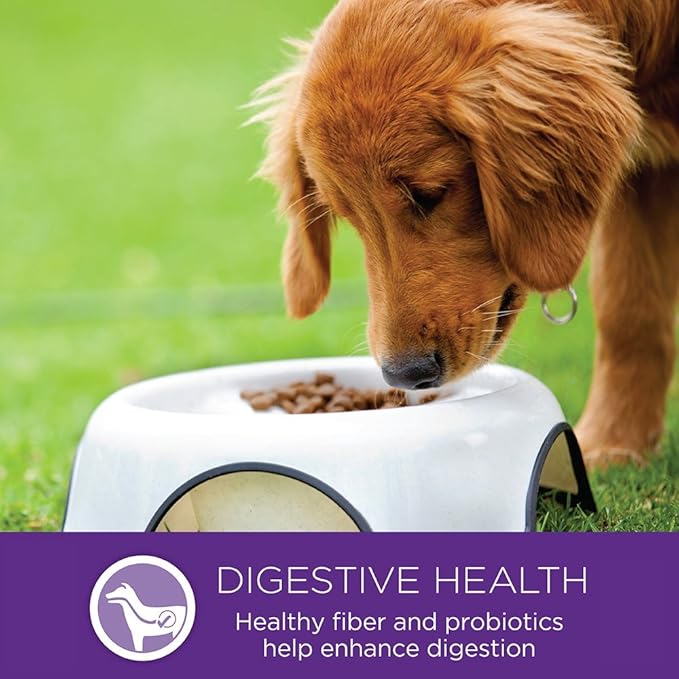 Wellness Complete Health Dry Dog Food, Small Breed, Wholesome Grains, Natural, Turkey & Oatmeal Recipe, (4-Pound Bag)