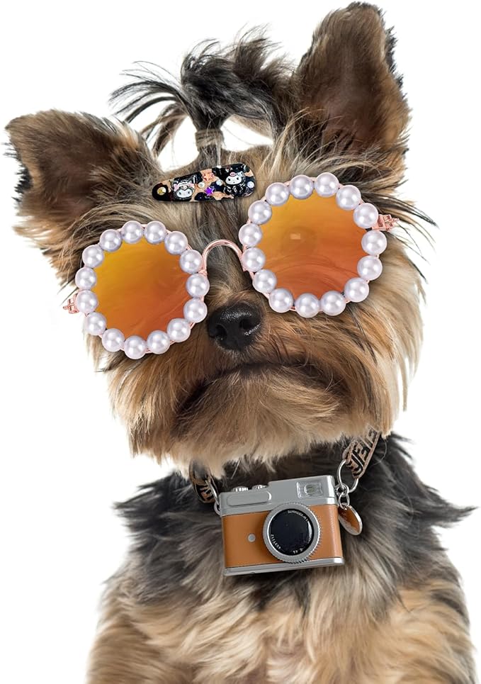 KUDES Cute Dog Sunglasses Pearl Dog Sunglasses Small Medium Breed Girl Holiday Party Pet Costume Accessories (Gold, Medium)