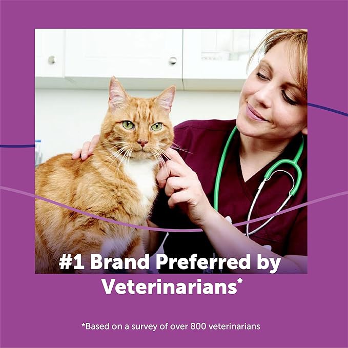 FELIWAY® Classic 30 Day Cat Calming Refill for Pheromone Diffuser, 48ml - Helps Reduce Common Signs of Stress in Cats & Kittens, Enhanced Calming