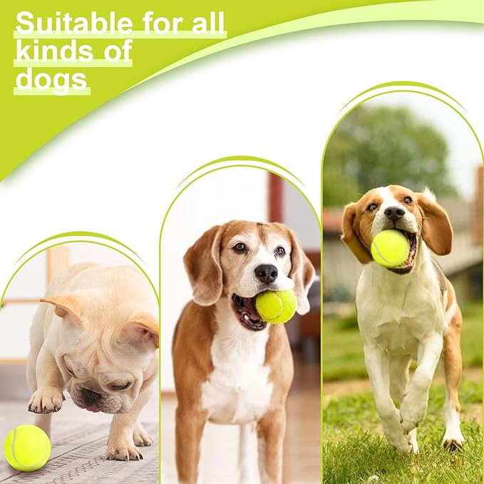 Automatic Ball Launcher Dogs: Interactive Fetch & Training Tool, Smart Mini Tennis Ball Thrower with 3-Setting Distance Control, Ultimate Self-Play Fetch Machine: Independent Fun & Exercise, Blue