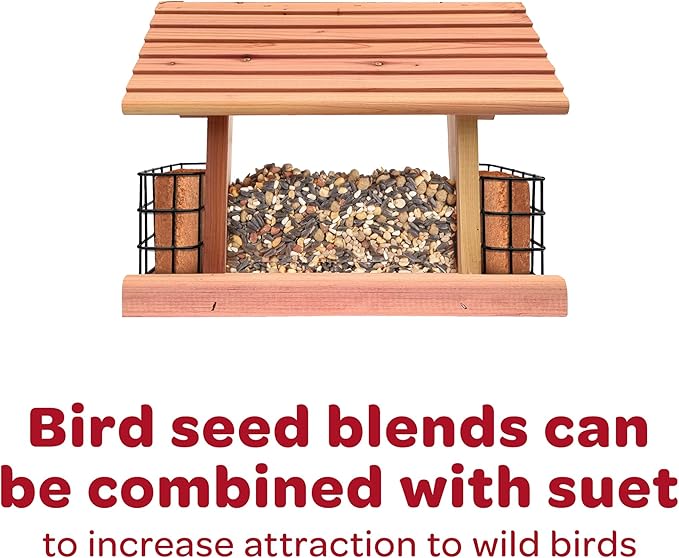 Kaytee Wild Bird Finch Food Blend,3 lb,(Pack of 2)