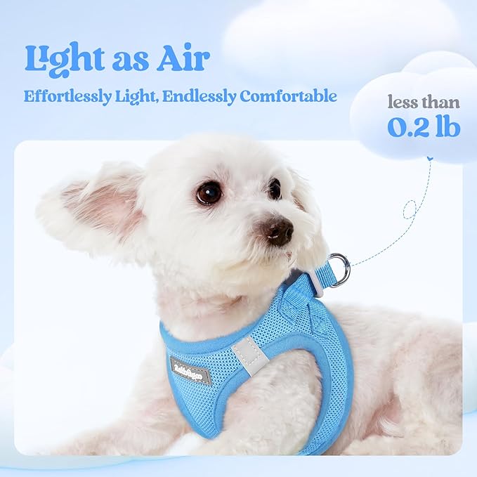 rabbitgoo Dog Harness Small Medium Sized and Leash Set, Step in Soft Light Puppy Vest, Breathable Mesh Pet Harness, Reflective for Safe Easy Walking, Blue L
