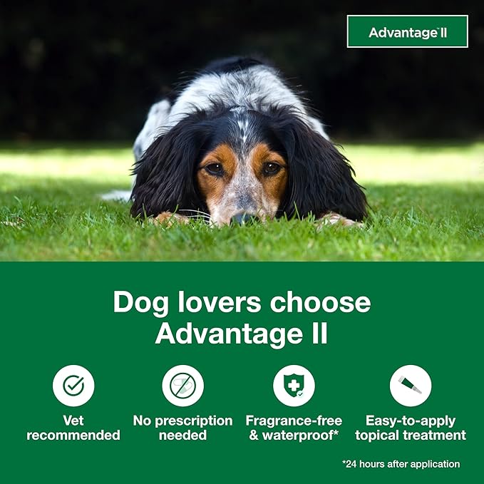 Advantage II Medium Dog, 4 pack