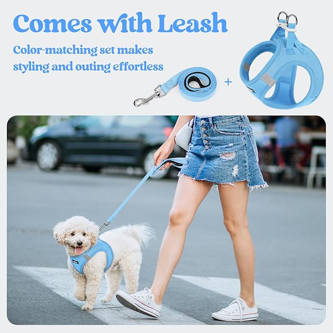 rabbitgoo Dog Harness Medium Sized and Leash Set, Step in Soft Light Puppy Vest, Breathable Mesh Pet Harness, Reflective for Safe Easy Walking, Blue XXL