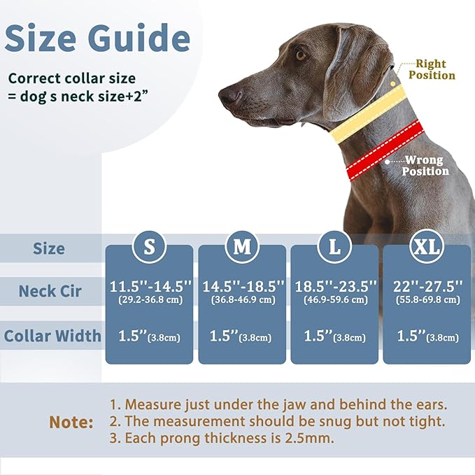 Mayerzon Martingale No Pull Collar for Medium Large Dogs, Patented Anti Pull Dog Collar with Buckle for Walking Training, with Neoprene Padding and Reflective Stitching, Adjustable(Sunset Orange, L)