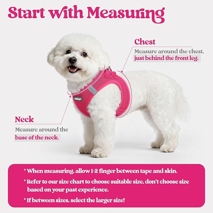rabbitgoo Dog Harness Small Sized and Leash Set, Step in Soft Light Puppy Vest, Breathable Mesh Pet Harness, Reflective for Safe Easy Walking, Rose Red XXS