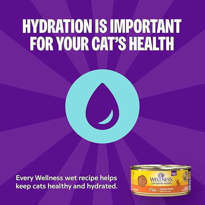 Wellness Complete Health Pate Adult Wet Cat Food, Natural, Protein-Rich, Grain Free, 3 Ounce, 24 Pack, (Turkey & Salmon)
