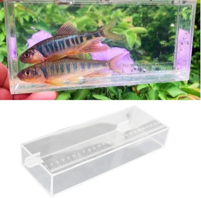 Fishing Photo Tank Fish Isolation Box Acrylic Aquarium Transparent Hatching Incubator Case, 25x4.4x9cm