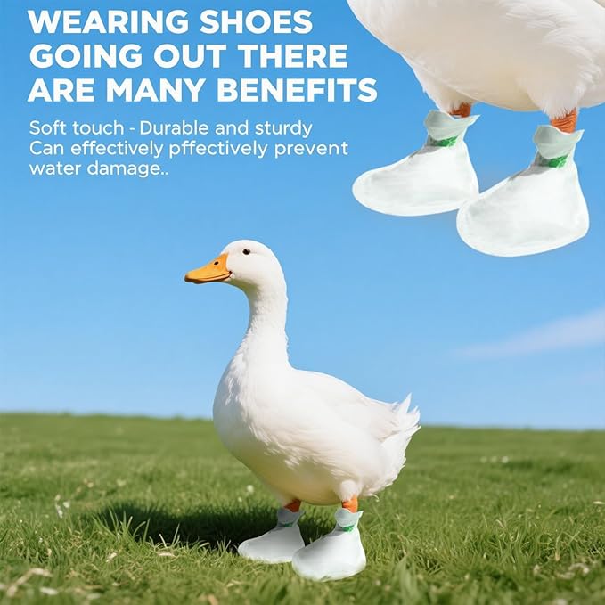 Disposable Boots for Real Duck Feet, Bumble Foot for Duck Supplies with Bandage, Large Size (Green, 40 PCS)