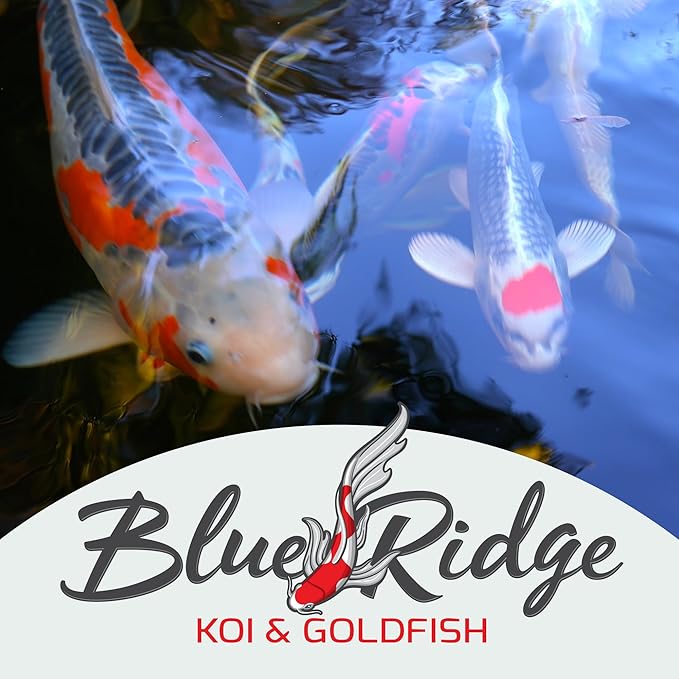 Blue Ridge Koi Fish Food 5lb - Koi Food Mini Growth Formula, Goldfish Food, Premium Fish Food for Ponds, Ponds Fish Food, Floating Pond Pellets