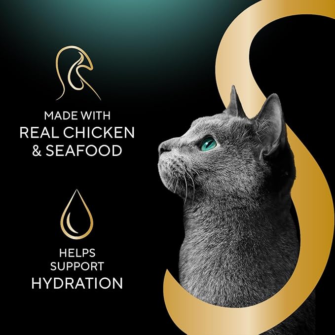 Sheba Selections Filets in Broth, Adult Cat Food Wet Recipe, Meal Complement, Chicken Recipe, 1.3 oz. Cups, 12 Count