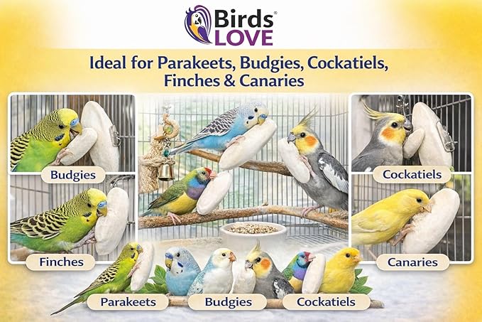 Birds LOVE 3.5-4″ Cuttlebones for Birds – 100% Natural Sun-Dried Calcium Carbonate Mineral Supplement – for Parakeets, Budgies, Cockatiels, Finches & Canaries – 12 Pack with Holder – Made in Vietnam