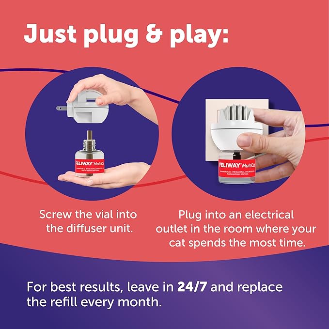 FELIWAY® MultiCat 30 Day Cat Calming Refill for Pheromone Diffuser, 48ml - 1x 30 Day - Helps Reduce Conflicts and Signs of Tension in Multi-Cat Households