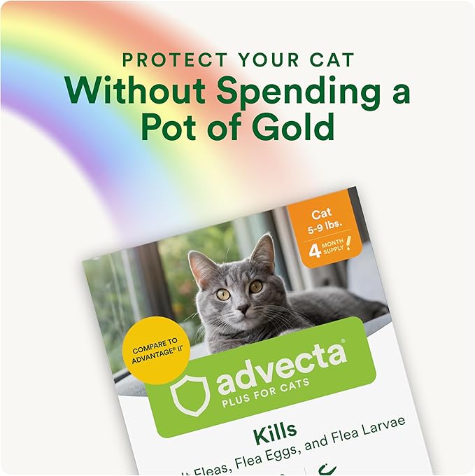 Advecta Plus Topical Flea Treatment for Cats and Kittens, Flea Prevention and Control, Small & Large, Fast-Acting Waterproof Drops, 4-Month Supply