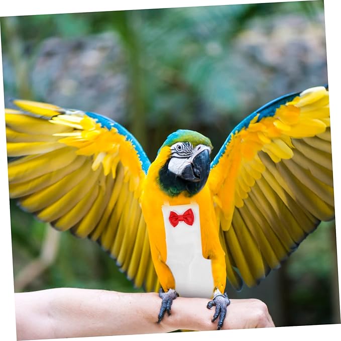 Yardwe Bird Diaper for Parrots and Birds and Breathable Reusable Diaper Suit for Outdoor Activities Cute Bow Design