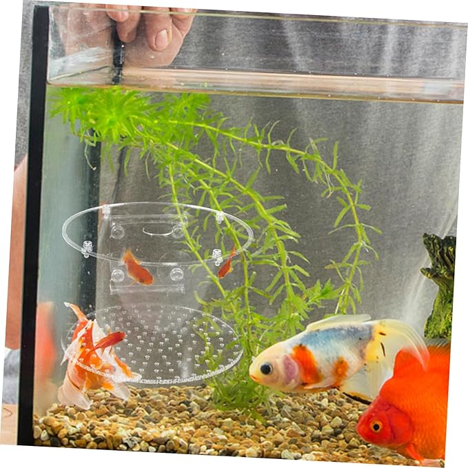 Fish Breeding Box with Transparent Cover Isolation Tank for Fish Shrimps Newborns Durable Wear Resistant Design for Aquariums and Hatcheries