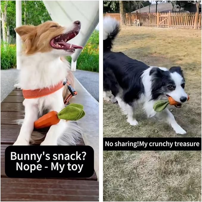 MewaJump Dog Squeaky Chew Toys for Aggressive Chewers, Rubber Carrot Dog Toys for Training and Cleaning, Durable Interactive Tough Dog Toy for Puppy Medium Dogs