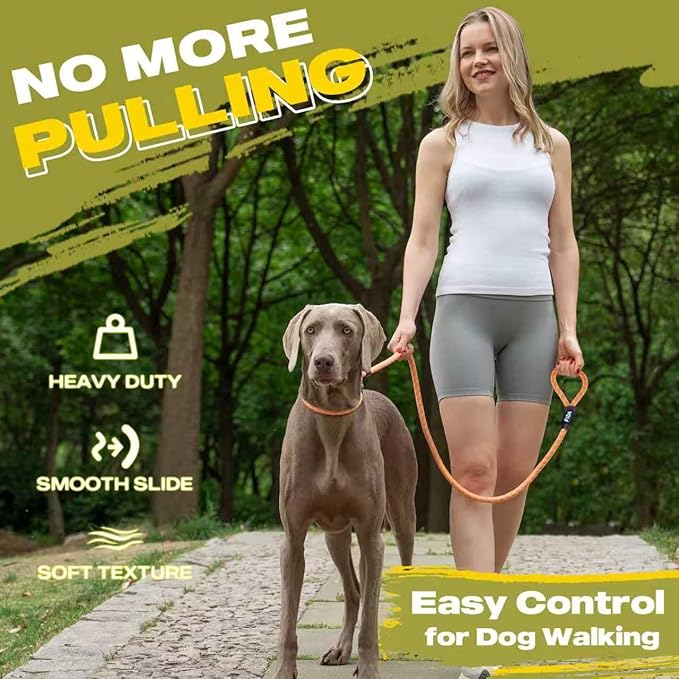 Fida Durable Slip Lead Dog Leash Bulk Pack of 5, Heavy Duty 1/2" x 6 FT Comfortable Strong Rope Slip Lead for Large, Medium Dogs No Pulling Pet Training Leash with Highly Reflective (Orange)