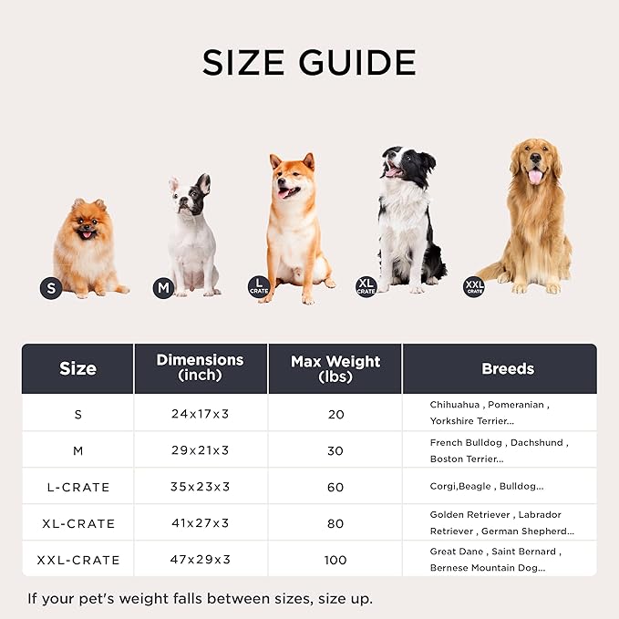 Bedsure Washable XXL Dog Bed for Crate, Giant Comfort Fluffy Plush Pet Pillow Bed Kennel Pad with Non-Slip Bottom, Machine Washable Pet Sleeping Mat for Jumbo, 47"x29", Gray