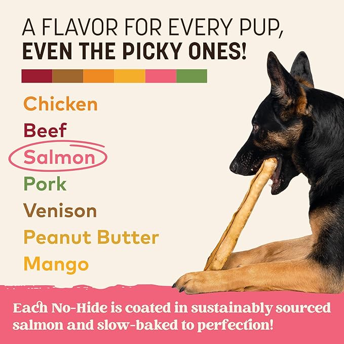 Earth Animal No Hide Chews - Long Lasting Rawhide Free Large Dog Chews Rolls, Salmon - 3 Count Value Pack